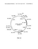 METHOD FOR INCREASING N-GLYCOSYLATION SITE OCCUPANCY ON THERAPEUTIC     GLYCOPROTEINS PRODUCED IN PICHIA PASTORIS diagram and image