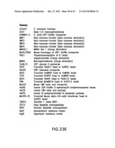 METHOD FOR INCREASING N-GLYCOSYLATION SITE OCCUPANCY ON THERAPEUTIC     GLYCOPROTEINS PRODUCED IN PICHIA PASTORIS diagram and image