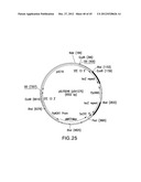 METHOD FOR INCREASING N-GLYCOSYLATION SITE OCCUPANCY ON THERAPEUTIC     GLYCOPROTEINS PRODUCED IN PICHIA PASTORIS diagram and image