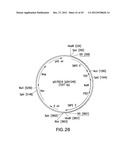 METHOD FOR INCREASING N-GLYCOSYLATION SITE OCCUPANCY ON THERAPEUTIC     GLYCOPROTEINS PRODUCED IN PICHIA PASTORIS diagram and image