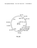 METHOD FOR INCREASING N-GLYCOSYLATION SITE OCCUPANCY ON THERAPEUTIC     GLYCOPROTEINS PRODUCED IN PICHIA PASTORIS diagram and image