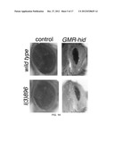 Therapeutic Applications Targeting SARM1 diagram and image