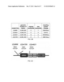 Therapeutic Applications Targeting SARM1 diagram and image