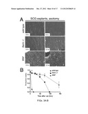 Therapeutic Applications Targeting SARM1 diagram and image