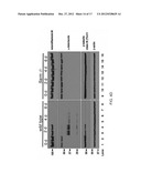 Therapeutic Applications Targeting SARM1 diagram and image