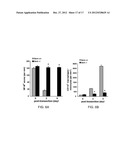 Therapeutic Applications Targeting SARM1 diagram and image