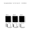 Globo H and Related Anti-Cancer Vaccines with Novel Glycolipid Adjuvants diagram and image