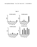 Globo H and Related Anti-Cancer Vaccines with Novel Glycolipid Adjuvants diagram and image