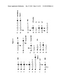 Globo H and Related Anti-Cancer Vaccines with Novel Glycolipid Adjuvants diagram and image