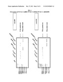 MODIFIED IMMUNIZATION VECTORS diagram and image