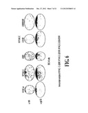 MODIFIED IMMUNIZATION VECTORS diagram and image