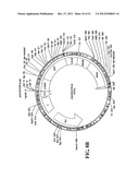 MODIFIED IMMUNIZATION VECTORS diagram and image