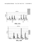 MODIFIED IMMUNIZATION VECTORS diagram and image