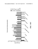 MODIFIED IMMUNIZATION VECTORS diagram and image