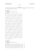 MODIFIED IMMUNIZATION VECTORS diagram and image