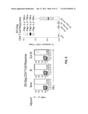 IMMUNOGENIC COMPOSITIONS AND METHODS OF USING THE COMPOSITIONS FOR     INDUCING HUMORAL AND CELLULAR IMMUNE RESPONSES diagram and image