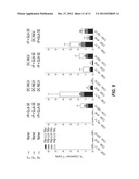 IMMUNOGENIC COMPOSITIONS AND METHODS OF USING THE COMPOSITIONS FOR     INDUCING HUMORAL AND CELLULAR IMMUNE RESPONSES diagram and image