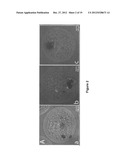 DENDRITIC AND HYPERBRANCHED POLYMERS FOR CELLULAR ENCAPSULATION AND     FUNCTIONALIZATION diagram and image