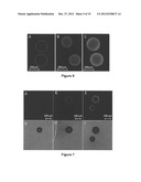 DENDRITIC AND HYPERBRANCHED POLYMERS FOR CELLULAR ENCAPSULATION AND     FUNCTIONALIZATION diagram and image