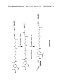 DENDRITIC AND HYPERBRANCHED POLYMERS FOR CELLULAR ENCAPSULATION AND     FUNCTIONALIZATION diagram and image