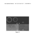 DENDRITIC AND HYPERBRANCHED POLYMERS FOR CELLULAR ENCAPSULATION AND     FUNCTIONALIZATION diagram and image