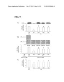 ANTI-PARKINSONIAN COMPOUND ACETYLSALICYLIC ACID MALTOL ESTER diagram and image