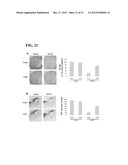 ANTI-PARKINSONIAN COMPOUND ACETYLSALICYLIC ACID MALTOL ESTER diagram and image