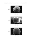 Controlled Release Solid Dose Forms diagram and image