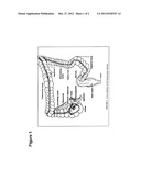 MULTI-PARTICULATE PHARMACEUTICAL FORMULATION FOR COLON ABSORPTION diagram and image