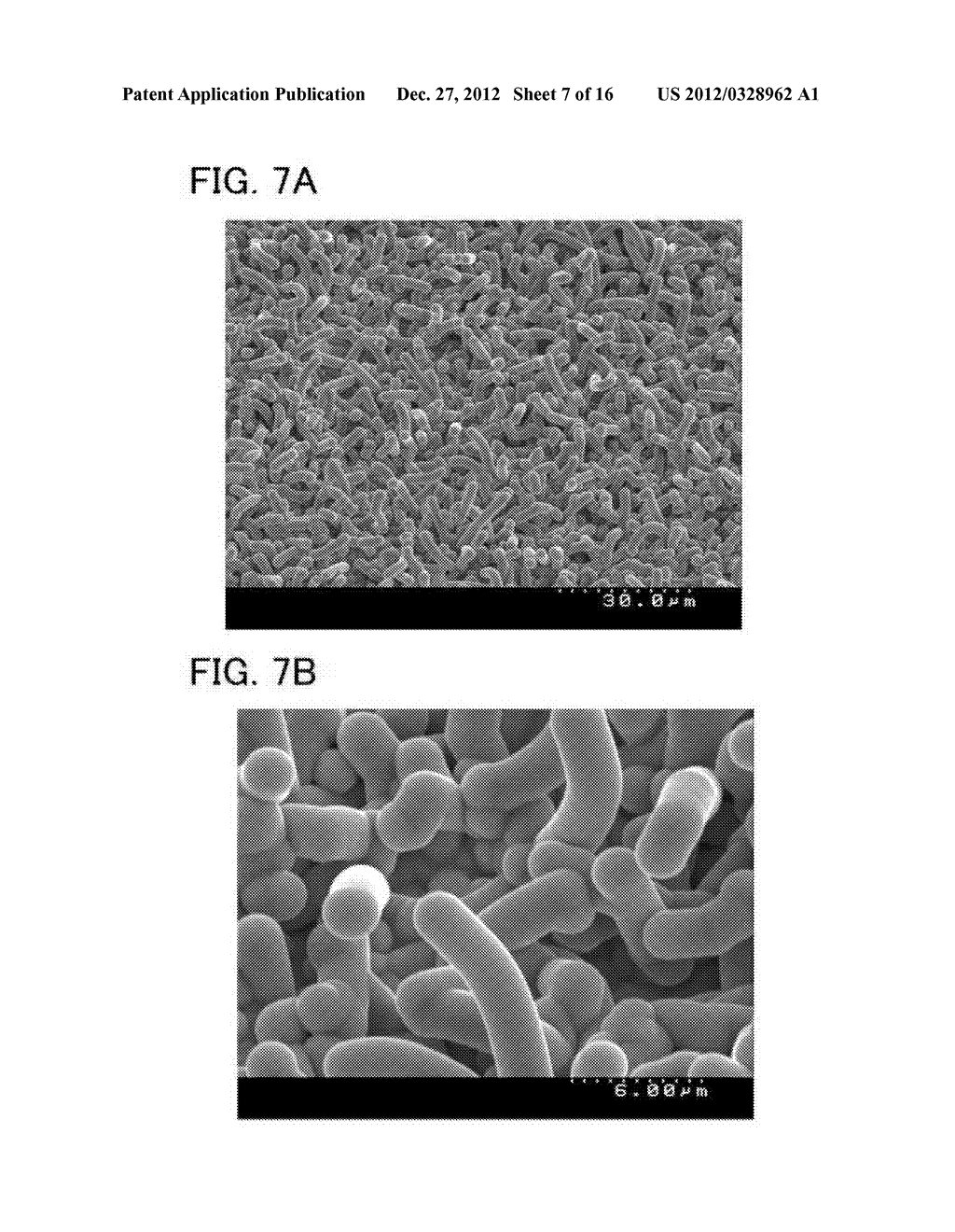 POWER STORAGE DEVICE, ELECTRODE THEREOF, AND METHOD FOR MANUFACTURING     POWER STORAGE DEVICE - diagram, schematic, and image 08