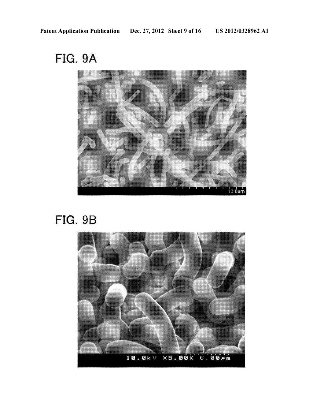 POWER STORAGE DEVICE, ELECTRODE THEREOF, AND METHOD FOR MANUFACTURING     POWER STORAGE DEVICE - diagram, schematic, and image 10