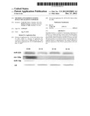 MicroRNA Fingerprints During Human Megakaryocytopoiesis diagram and image