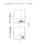 MicroRNA Fingerprints During Human Megakaryocytopoiesis diagram and image