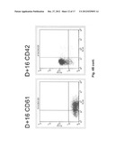 MicroRNA Fingerprints During Human Megakaryocytopoiesis diagram and image