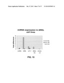 MicroRNA Fingerprints During Human Megakaryocytopoiesis diagram and image