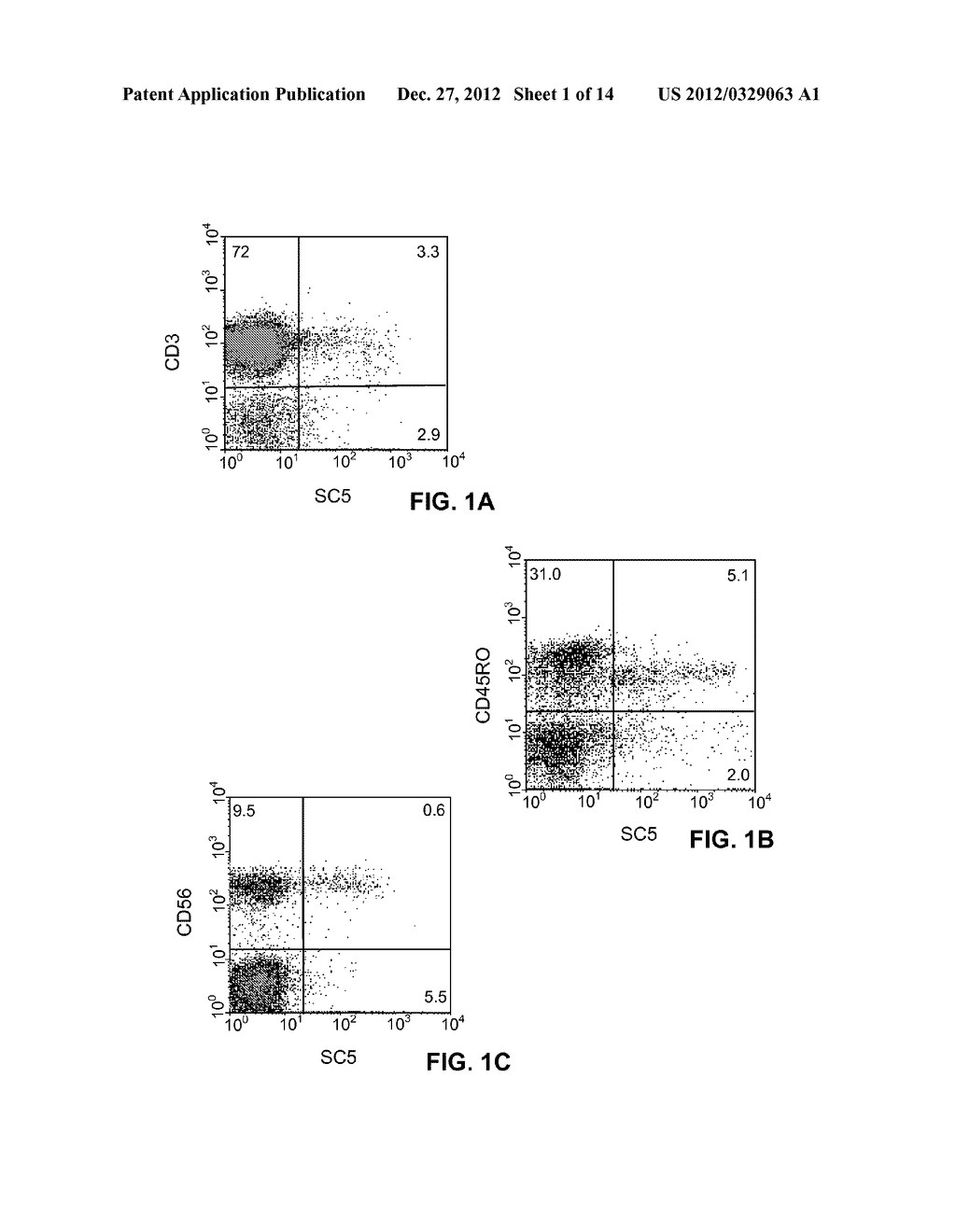 NOVEL MEANS FOR THE DIAGNOSIS AND THERAPY OF CTCL - diagram, schematic, and image 02