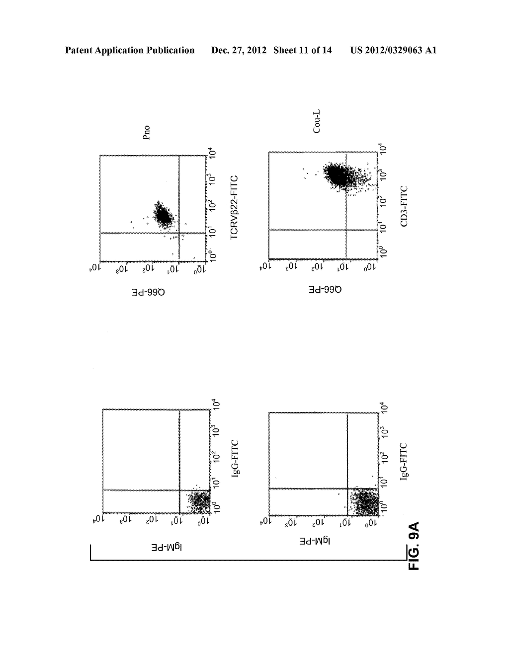 NOVEL MEANS FOR THE DIAGNOSIS AND THERAPY OF CTCL - diagram, schematic, and image 12