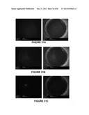 ENRICHMENT OF NUCLEIC ACID TARGETS diagram and image