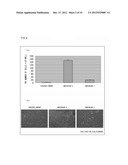 CELL PREPARATION CONTAINING MESENCHYMAL STEM CELLS, AND METHOD FOR     PRODUCING SAME diagram and image