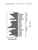 RECOMBINANT PROTEIN PRODUCTION IN HETEROLOGOUS SYSTEMS diagram and image