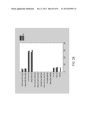 RECOMBINANT PROTEIN PRODUCTION IN HETEROLOGOUS SYSTEMS diagram and image