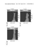 RECOMBINANT PROTEIN PRODUCTION IN HETEROLOGOUS SYSTEMS diagram and image