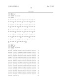 POLYNUCLEOTIDES ENCODING ANTIBODIES THAT BIND BOTH IL-17A AND IL-17F diagram and image