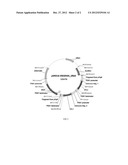 MODIFIED MICROORGANISM HAVING ENHANCED XYLOSE UTILIZATION diagram and image