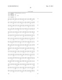 BACTERIUM OF ENTEROBACTERIACEAE FAMILY PRODUCING L-ASPARTIC ACID OR     L-ASPARTIC ACID-DERIVED METABOLITES AND A METHOD FOR PRODUCING L-ASPARTIC     ACID OR L-ASPARTIC ACID-DERIVED METABOLITES diagram and image