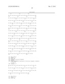 Genetically Engineered Microorganisms That Metabolize Xylose diagram and image