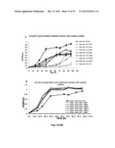 Microorganisms Having Enhanced Tolerance To Inhibitors and Stress diagram and image