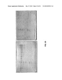 Microorganisms for Producing 1,3-Butanediol and Methods Related Thereto diagram and image