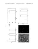 MAGNETIC REAGENT, MAGNETIC REAGENT KIT, METHOD FOR TREATING MAGNETIC     CARRIERS, AND TREATMENT DEVICE THEREFOR diagram and image