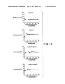 CAR RECEPTOR AS A MEDIATOR OF MIGRATORY CELL CHEMOTAXIS AND/OR     CHEMOKINESIS diagram and image